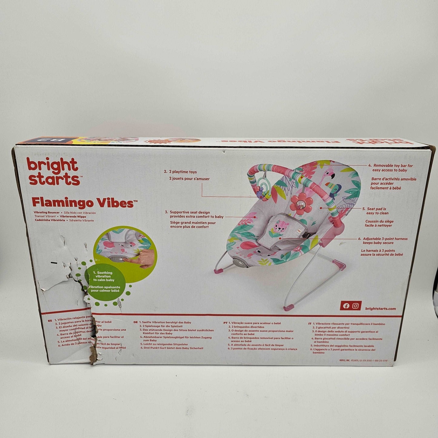 Baby Bouncer Flamingo Vibes Pink Bright Starts B2 - DQ Distribution