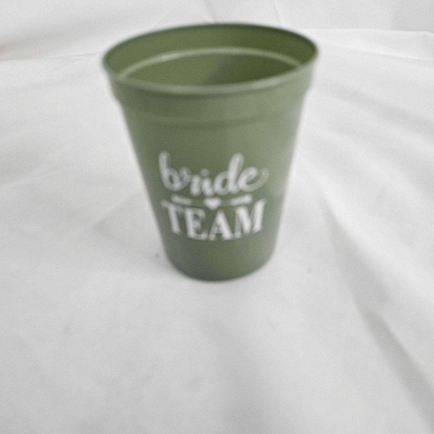 Bachelor and Bachelerotte Party Cup Lady & Home 14 Cups - DQ Distribution
